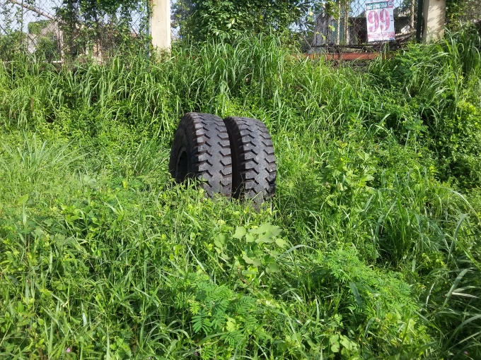 Hai bánh của trục giữa chiếc xe văng ra lề đường.