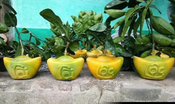 C&uacute;ng Tết bưởi t&agrave;i lộc thỏi v&agrave;ng 1 triệu/cặp: D&acirc;n Thủ đ&ocirc; cầu ph&uacute; qu&yacute;