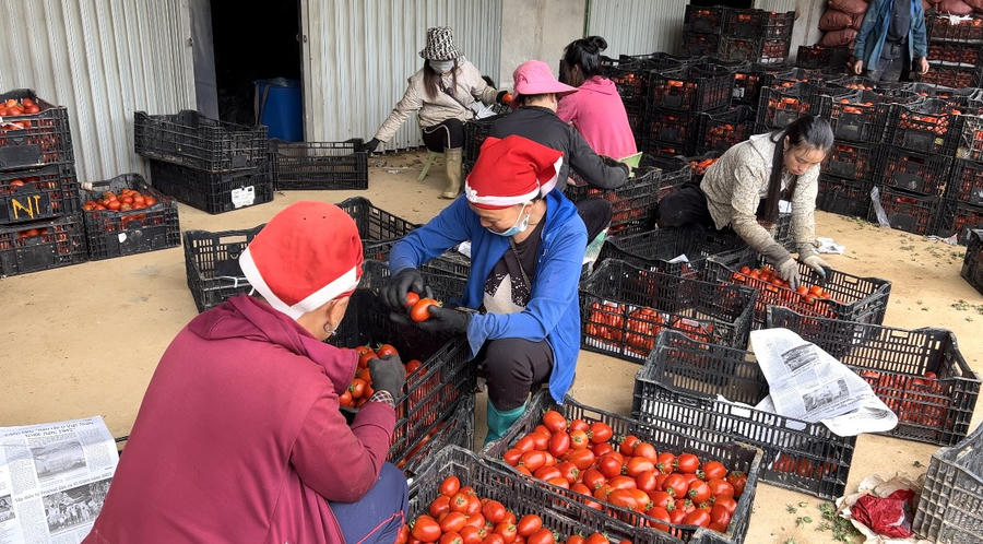 z4696655303429_ae2252496a6f09c733a6922c6e1e1c09