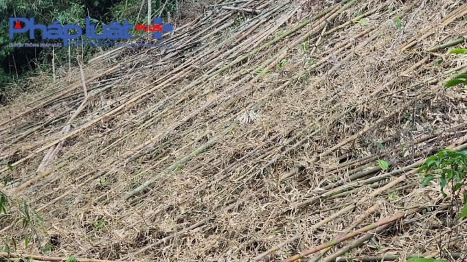 z3820632771366_b50fe15fda331fd8431ad004166fb6cf