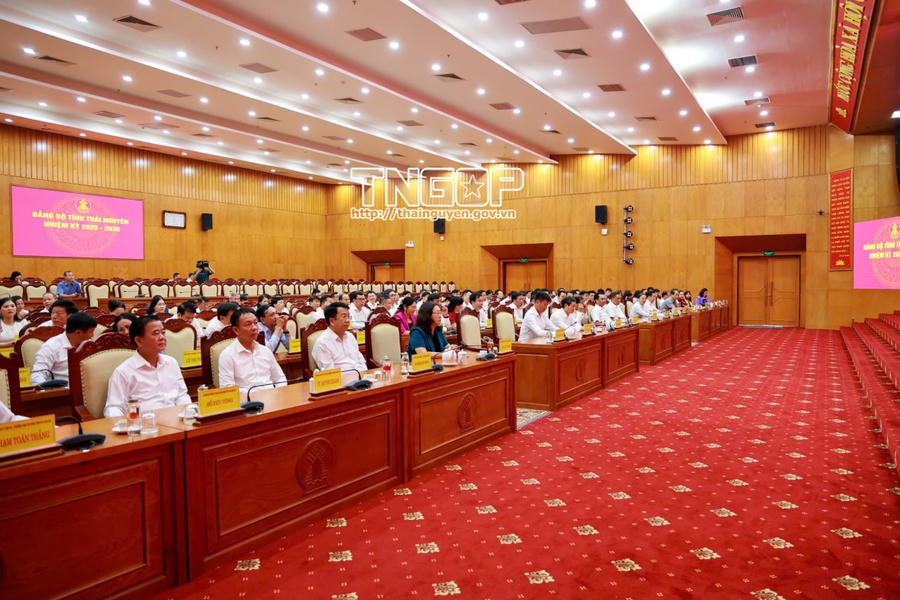 Các đại biểu tham dự chương trình làm việc.