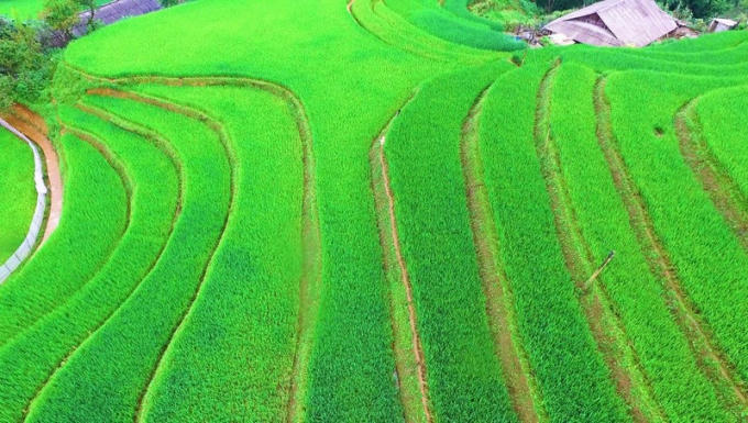 Kh&aacute;m ph&aacute; vẻ đẹp thung lũng Mường Hoa từ tr&ecirc;n cao, bạn thử chưa?