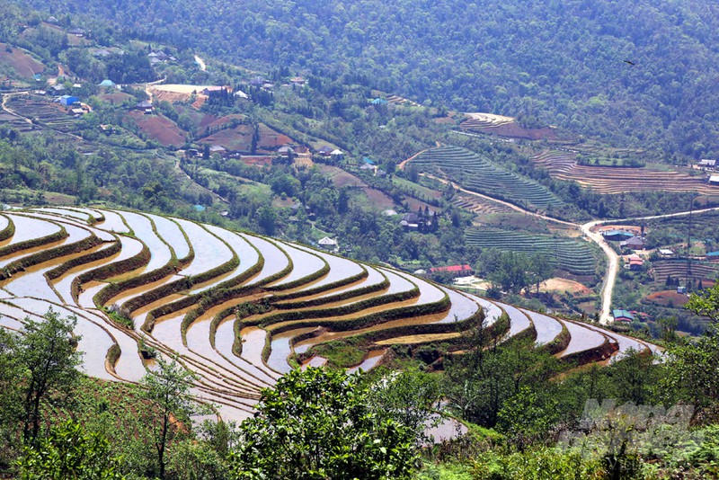 Những thang ruộng Y Tý mùa nước đổ.