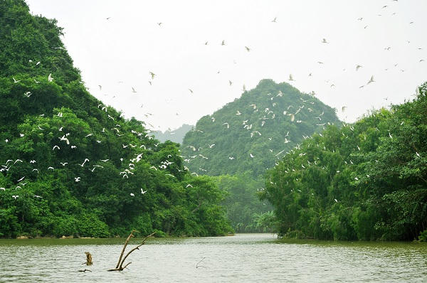 Khu du lịch Thung Nham khai thác chủ yếu dựa vào thiên nhiên thế nhưng hơn 10 năm qua vẫn không hề có ĐTM.