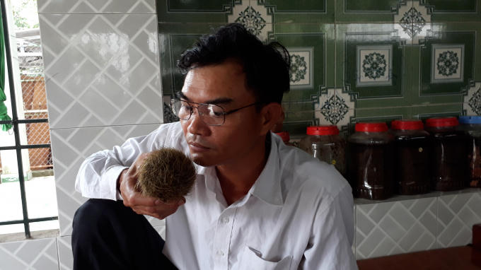 Ông Thiêm cho rằng, vật thể lạ trong bụng con heo là vị thuốc quý.