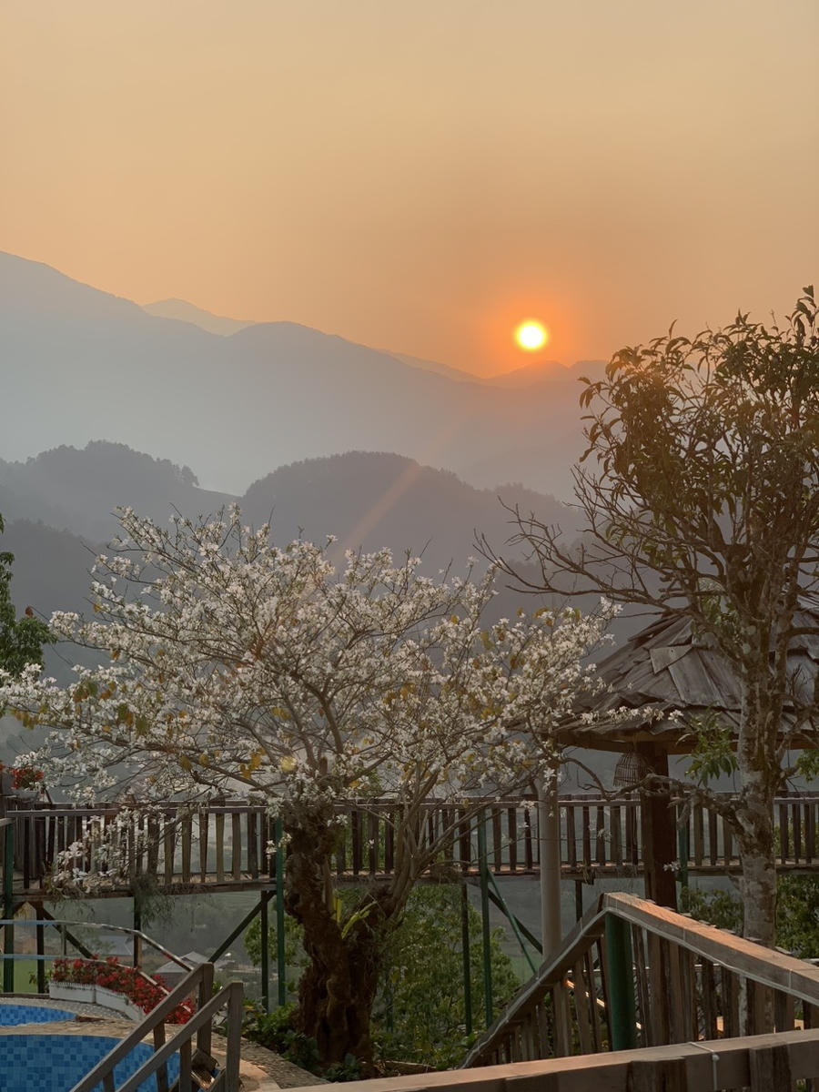 Một góc khung cảnh thiên nhiên huyện Trạm Tấu nhìn từ Homestay Đồi Chè