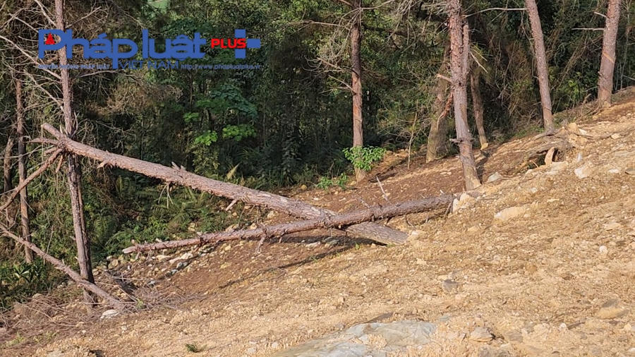 z4185638685357_9b4a44bceff7af94c7ca5008e117d02e