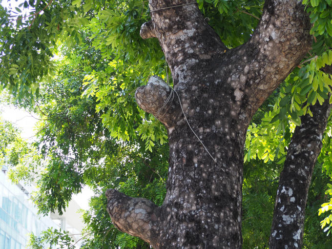 H&agrave;ng x&agrave; cừ cuối c&ugrave;ng tr&ecirc;n đường Kim M&atilde; trước giờ di dời