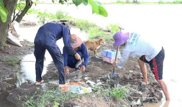 Mỗi buổi, một người săn chuột đồng chịu siêng năng có thể bắt được từ 3 - 5 kg chuột, có thêm thu nhập từ vài trăm ngàn đồng.