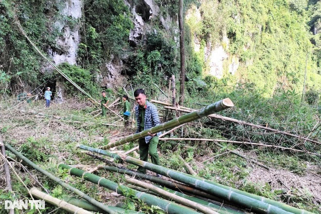 Công an huyện Kim Bôi tiến hành kiểm đếm số tài sản bị chặt phá để điều tra vụ án hình sự tội
