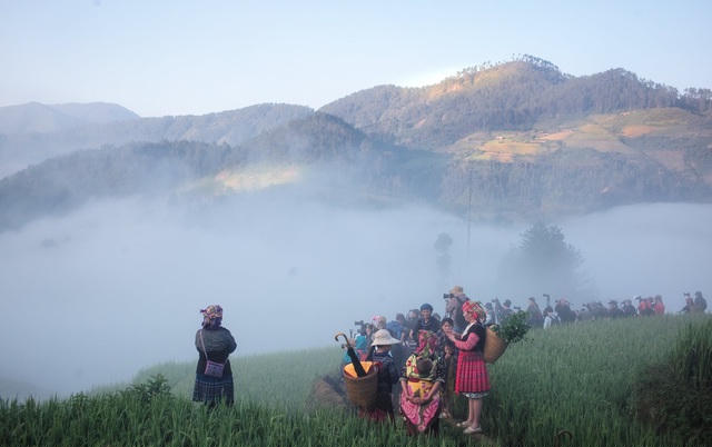 Ruộng bậc thang Mù Cang Chải thu hút đông du khách nhất vào khoảng tháng 5 – 6 và từ tháng 9 -10. Ảnh: Page Yên Bái