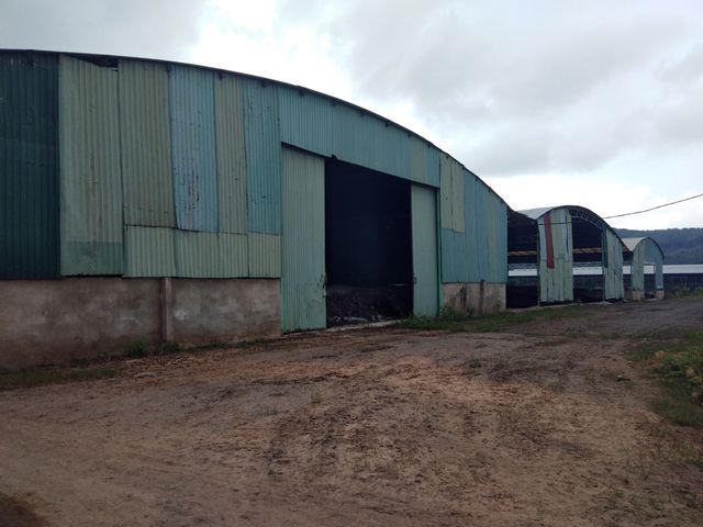 Hàng trăm hecta đất trồng cỏ bị bỏ không đồng nghĩa với những phân khu ủ phân phục vụ trồng cỏ phải chịu chung số phận. Hiện tại có hàng ngàn tấn phân chất đống trong các nhà chứa như thế này.