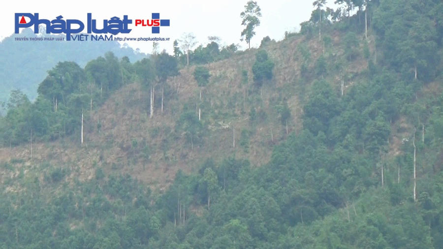 z3900247997635_0250fcfab95b3e0f86c925abc3e665ca-0810