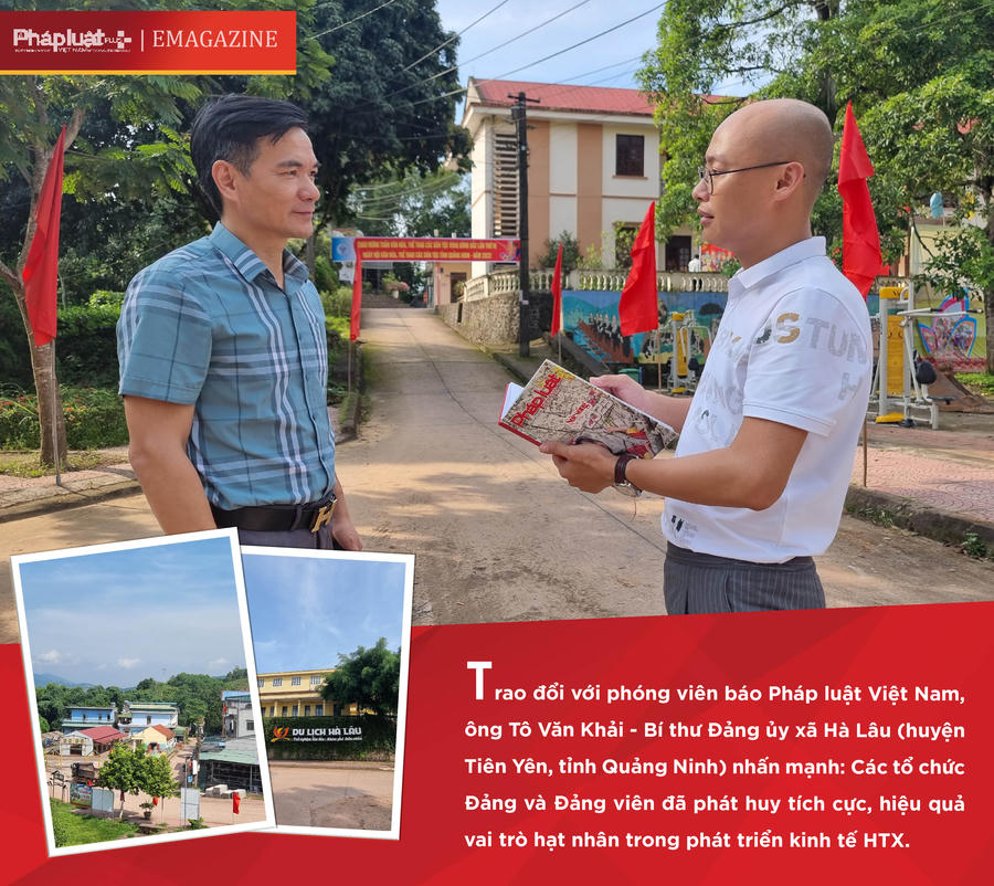 anh 3 - thay the anh bi sai