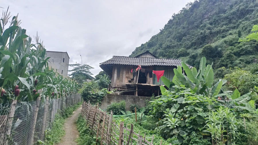 Ngôi nhà sàn của bà Tòng Thị Lải bị nghiêng hẳn sang một bên trông như sắp đổ.
