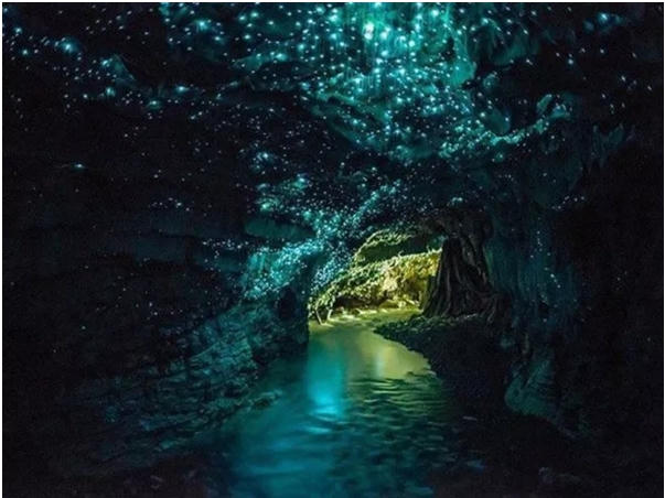 Hang Waitomo, New Zealand