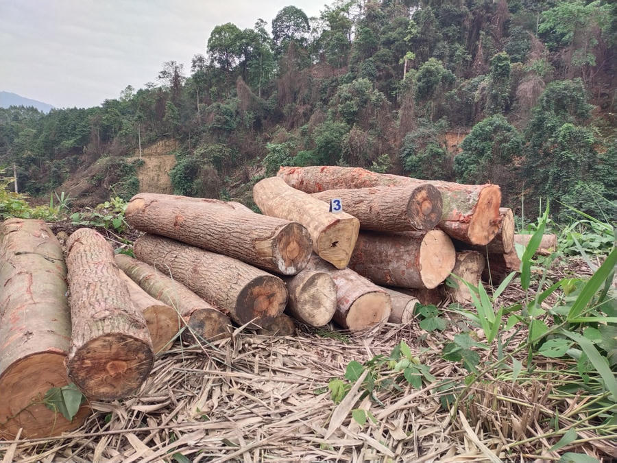 z4251797754175_ca5fd3aa0a17a4c17dc6d52e6a7b0295