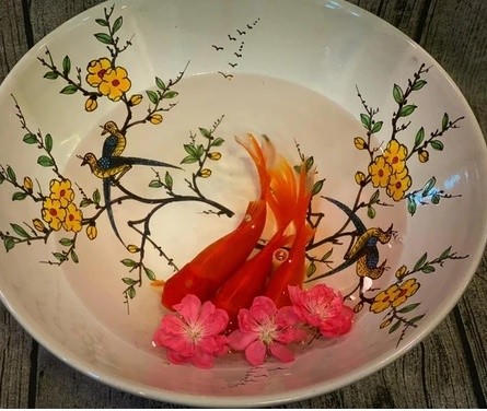 Cá chép không chỉ là phương tiện để ông Táo cưỡi về trời mà còn mang ý nghĩa