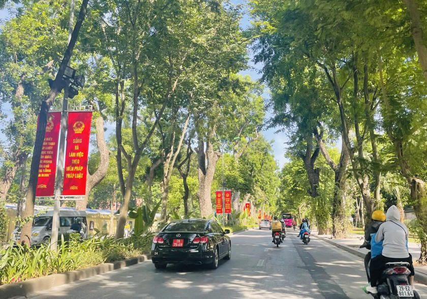 z3845567003561-c7ed252145cb5c7c5072009bc71590f0-5646