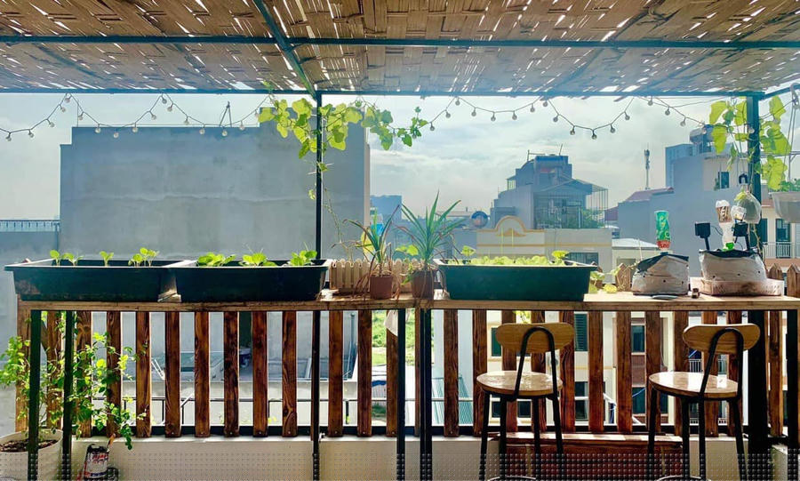 Góc quầy bar, có thể vừa ngồi nhâm nhi cốc cà phê vừa ngắm cây cối.