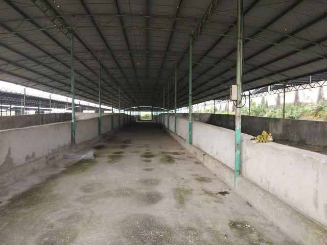 Hệ thống kho ủ, chứa thức ăn cũng bị bỏ trống trơ. Các máy móc cũng đã được rút đi.