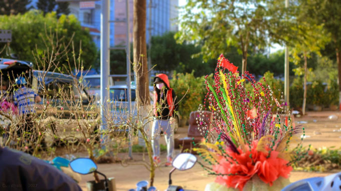 Kh&aacute;m ph&aacute; chợ hoa ở Đắk Lắk trước ng&agrave;y tết Đinh Dậu 2017