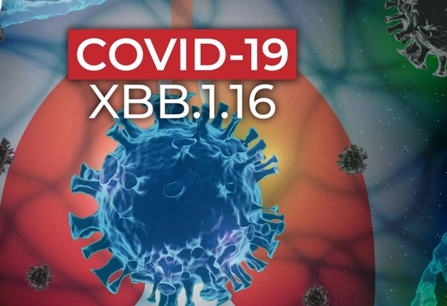 Theo WHO, biến thể phụ XBB.1.16 của Omicron có khả năng lây lan nhanh chóng nhưng chưa có bằng chứng gây triệu chứng nghiêm trọng hơn.