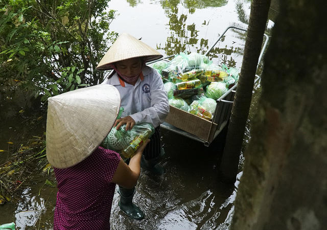 Theo thống kê sơ bộ, huyện Chương Mỹ có 1380,9 ha lúa bị thiệt hại, diện tích nuôi trồng thủy sản bị thiệt hại 603,5 ha, nhiều nhà ở, trường học, trạm y tế bị hư hỏng do nước lũ.
