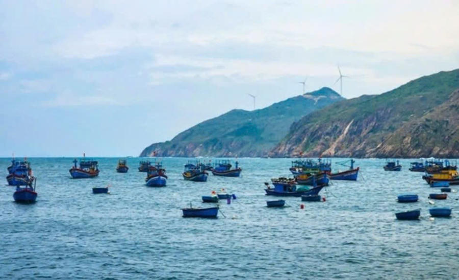 Tàu cá của ngư dân xã Nhơn Lý đang neo đậu gần bờ. Ảnh: Hải Phong