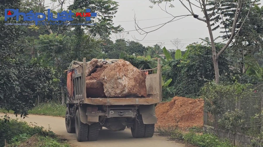 z4997198541990_e0c6bef6079f6fcfd2bd12183e965112