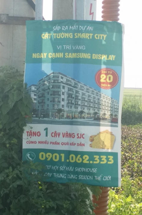 Thông tin quảng cáo về dự án Cát Tường Smart City.
