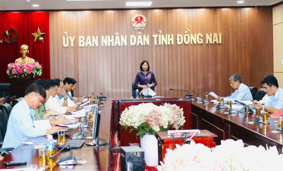 Phó chủ tịch UBND tỉnh Nguyễn Thị Hoàng phát biểu tại buổi làm việc