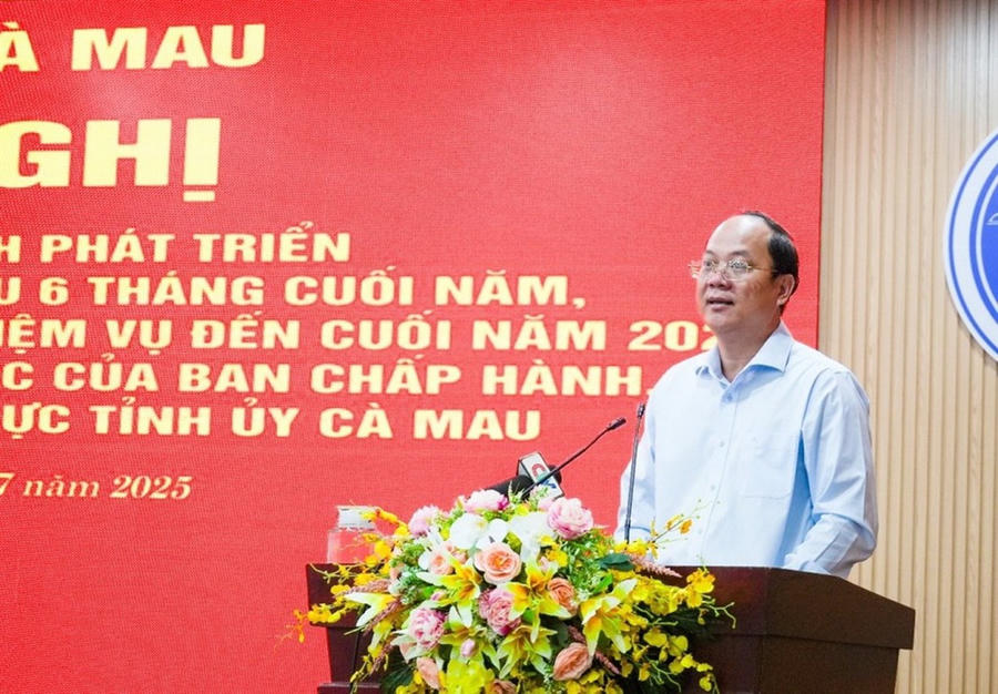 Ông Nguyễn Hồ Hải – Bí thư Tỉnh ủy Cà Mau, phát biểu kết luận Hội nghị (Ảnh: Bích Ngọc).