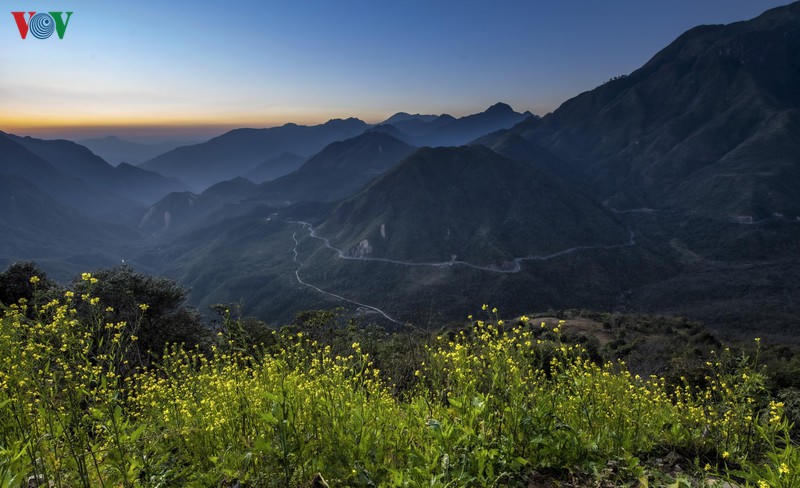 sa pa dep ngat ngay khi mua xuan ve hinh 1