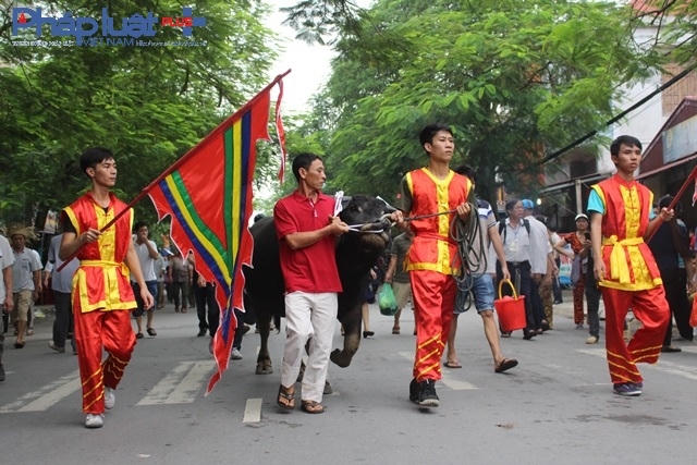 Ch&ugrave;m ảnh: