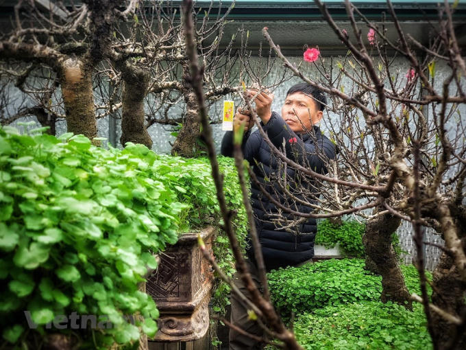 Những nông dân, nghệ nhân như anh Hàm là số ít người còn sót lại của làng Nhật Tân sau những 'vật đổi sao dời' đến nay vẫn giữ được tâm huyết với nghề. (Ảnh: Tố Linh/Vietnam+)