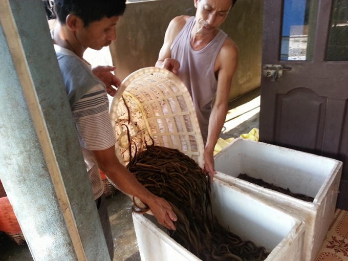 Mọi người tất bật với công việc mua bán của mình.