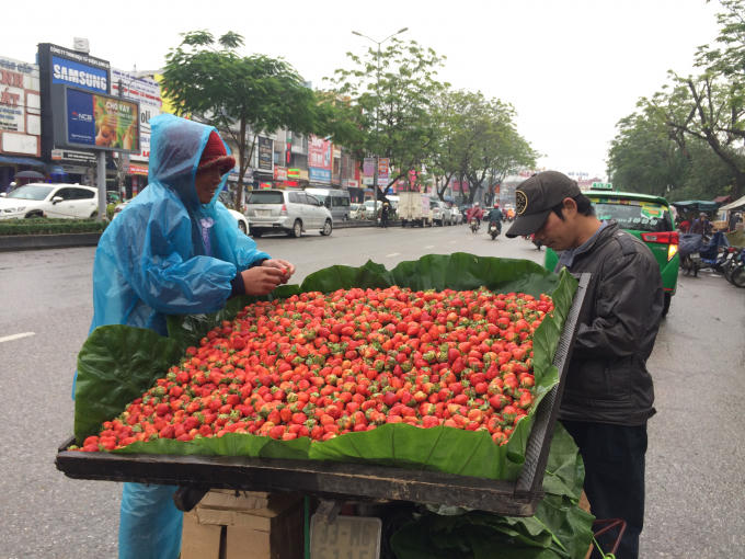 Người bán dâu tây mặc áo mưa để chống chọi với cái lạnh giữa đường (Ảnh: Thân Hiền)