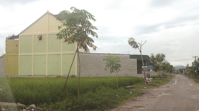 Đất nông nghiệp dọc hai bên đường liên thôn xã Phúc Thành đã được UBND xã bán chui cho dân (ẢNH K.HOAN)