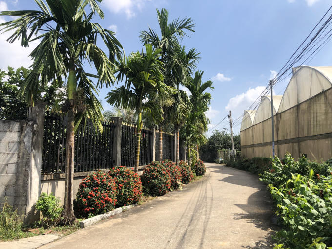 Tuyến đường tại ấp Tân Triều được hình thành nhờ sự đóng góp của nhân dân