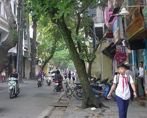 Trường Tiểu học Tràng An đóng cửa. Trên đường có một xe máy chở học sinh đi ngược chiều trên phố Nhà Thờ. Ngay tại ngã tư phố Nhà Chung - Nhà Thờ có biển cấm đi ngược chiều và có tổ bảo vệ chốt trực nhưng tình trạng xe vi phạm vẫn diễn ra.