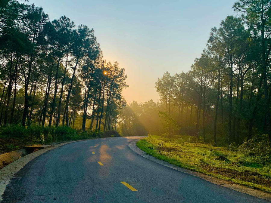 328242556_570699228407921_5723269892934670864_n