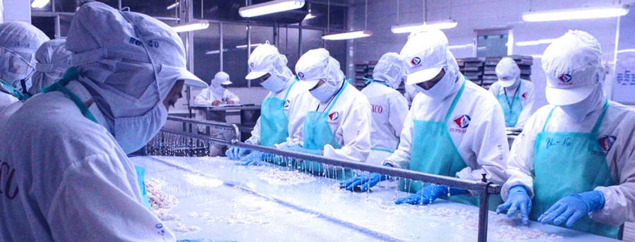 Theo kế hoạch, đến năm 2030, tỉnh Cà Mau phấn đấu đạt 20.000 doanh nghiệp, tốc độ tăng trưởng khu vực kinh tế tư nhân 10 – 12%/năm, đóng góp 55 – 58% GRDP và 35 – 40% tổng thu ngân sách.