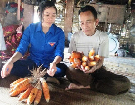 Nhiều tri thức trẻ đã giúp dân thoát nghèo với nhiều sáng kiến trong trồng trọt và chăn nuôi (Nguồn Báo Dân trí).