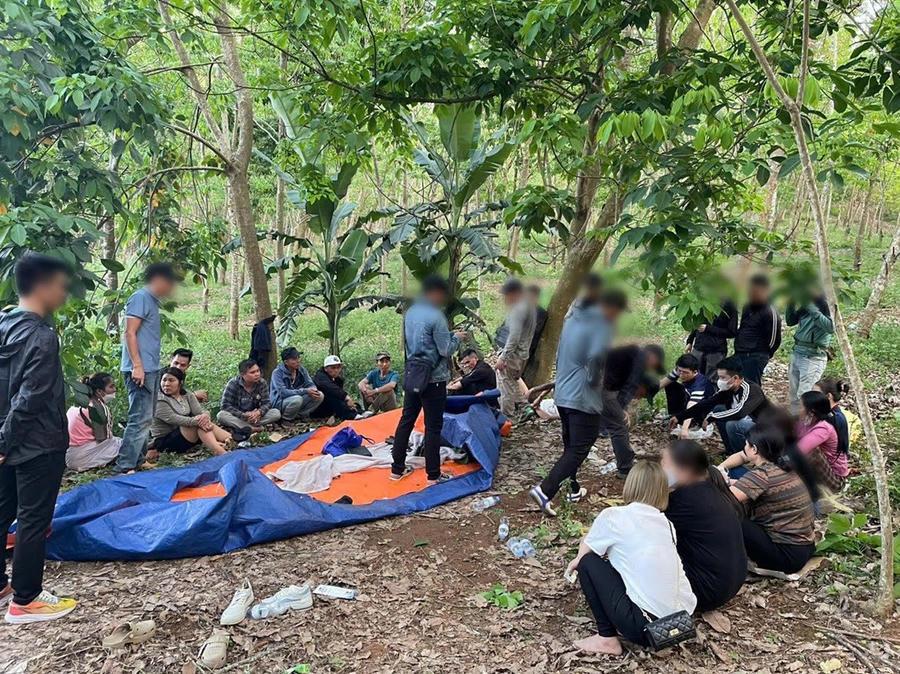 Nhóm đối tượng tổ chức đánh bạc trong rừng - Ảnh Công an Nghệ An.