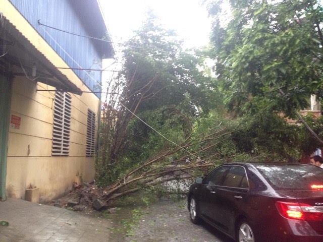 Những h&igrave;nh ảnh đau x&oacute;t khi cơn b&atilde;o số 1 đi qua