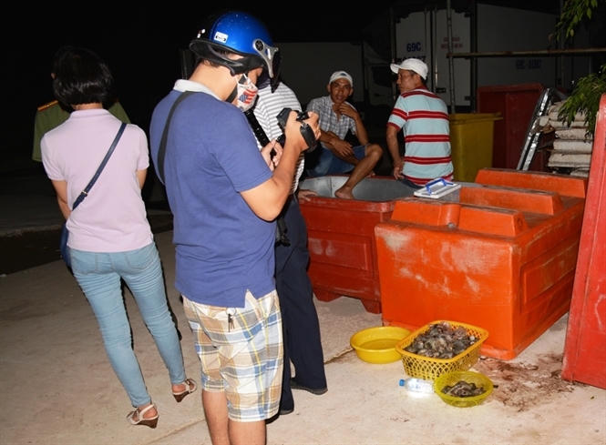 Sau khi cúp điện đoàn liên ngành kịp bắt quả tang lượng tôm đang được mang đi tẩu tán.              Số lượng tôm tạp chất thu tại hiện trường là hơn 70 kg.