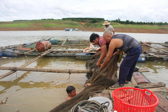 Chỉ sau một đêm người nôi cá lồng nơi đây đã rơi vào cảnh tay trắng