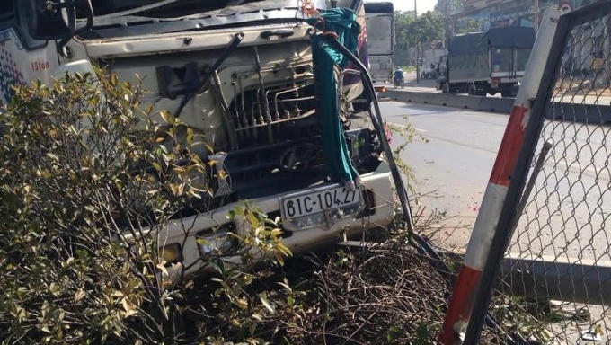 C&agrave;y n&aacute;t h&agrave;ng r&agrave;o chắn giao th&ocirc;ng