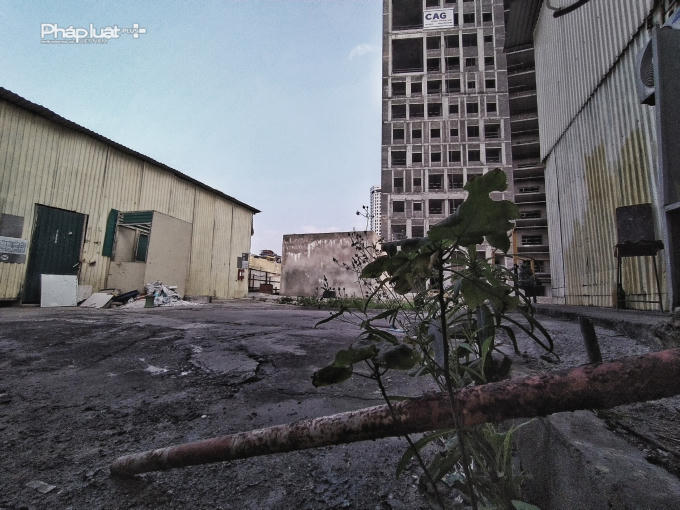 42cf818e13cfe891b1de5